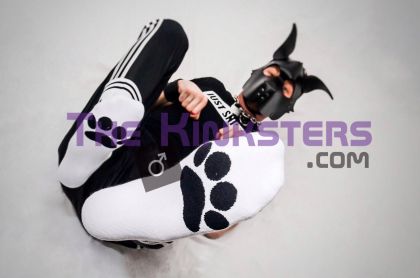 Sk8erboy Puppy Paw Socks White
