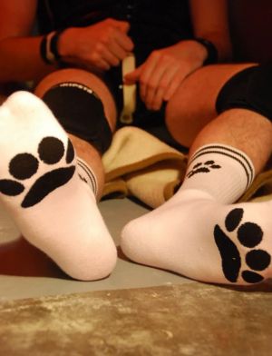 Sk8erboy Puppy Paw Socks White